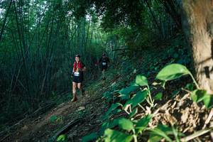 BIB: 
                            <button type="button" onclick="openModal(28124635)" class="btn btn-primary btn-sm float-right btn-popup" data-toggle="modal" data-target=".modal-high-quality">
                        <i class="fas fa-shopping-cart"></i> Add to Cart
                    </button>
                                            <button type="button" onclick="isThisMe(28124635, true)" class="btn btn-success btn-sm float-right btn-popup btn-isme hidden" data-toggle="tooltip" data-placement="bottom" title="นี่คือรูปของคุณใช่ไหม คลิกที่นี่เพื่อเอาเข้าอัลบั้ม">
                        <i class="fas fa-plus"></i> Add to album
                    </button>
                    <button type="button" onclick="isThisMe(28124635, false)" class="btn btn-warning btn-sm float-right btn-popup btn-isnotme hidden">
                        <i class="fas fa-ban"></i> Remove from album
                    </button>